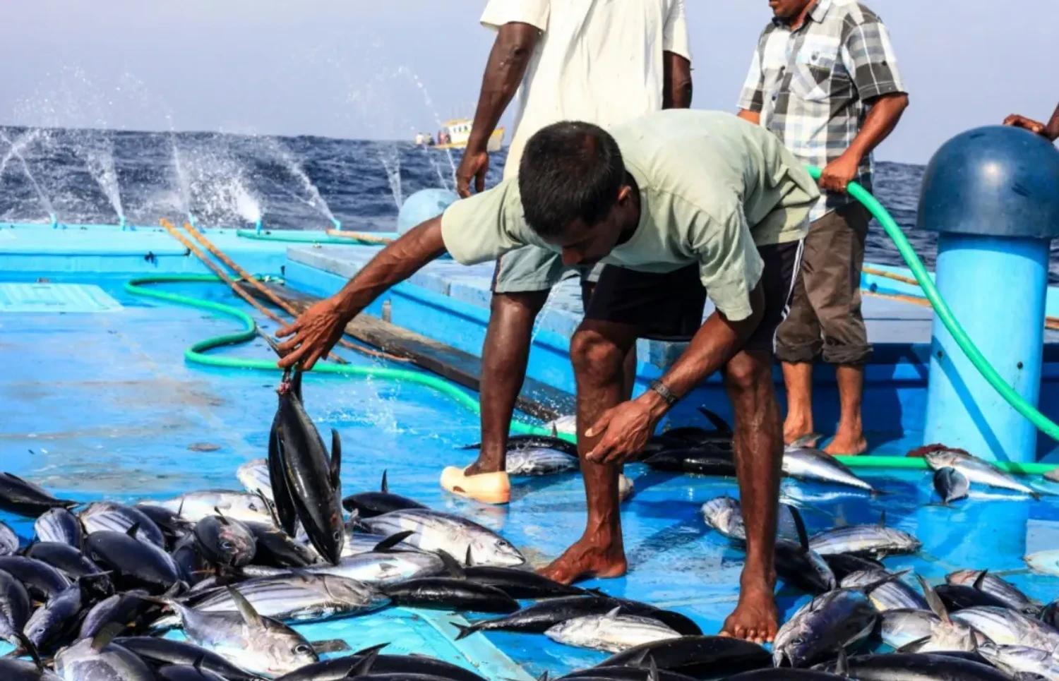 މަސްވެރިކަމުގެ ޤައުމީ ދަފުތަރުގައި ރަޖިސްޓްރީވެފައިވާ މަސްވެރިންގެ ތެރެއިން 89 މަސްވެރިއަކަށް ލޯނު ދޫކޮށްފި