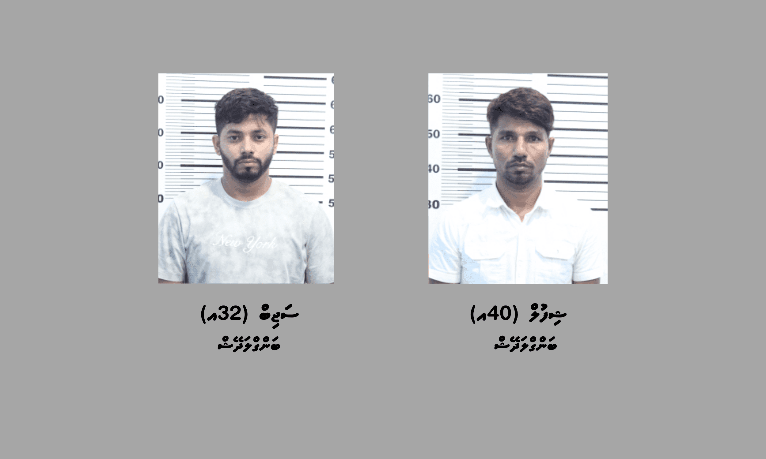ވައިގެ މަގުން ރާއްޖެއަށް މަސްތުވާތަކެތި އެތެރެކުރި ދެމީހުން ހައްޔަރުކޮށްފި
