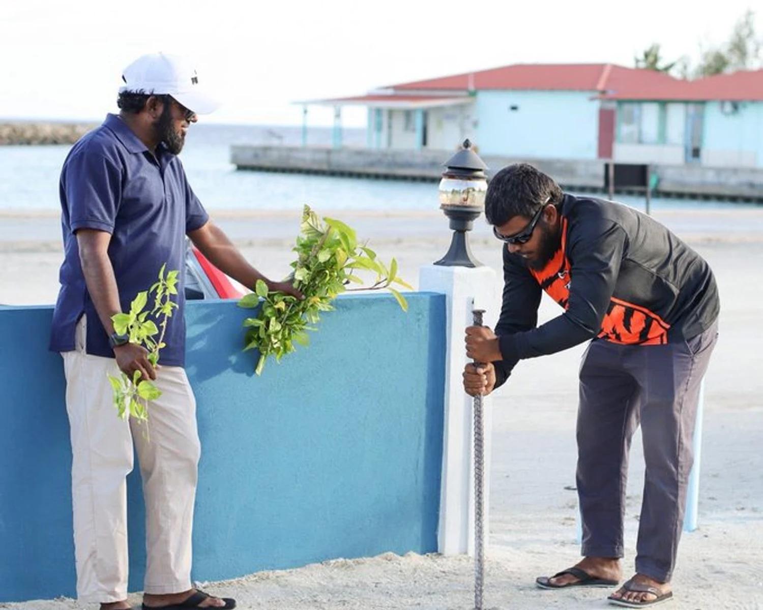 5 މިލިއަން ގަސް އިންދުމުގެ މަޝްރޫއާއެކު ގުރައިދޫ ކަނޑޫފާ ސަރަހައްދު ސާފުކޮށްފި