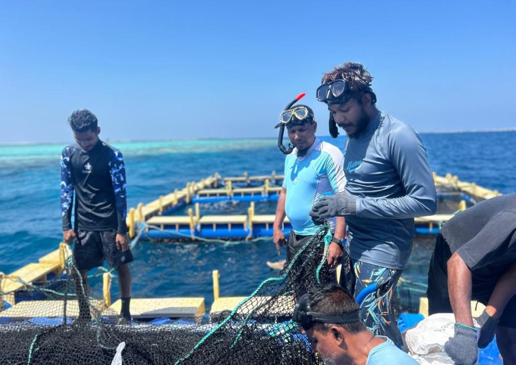 "މެރިން ހެޗަރީ ސްކިލްސް ޑިވެލޮޕްމަންޓް ޕްރޮގްރާމް" ގައި ބައިވެރިވާން ހުޅުވާލައިފި