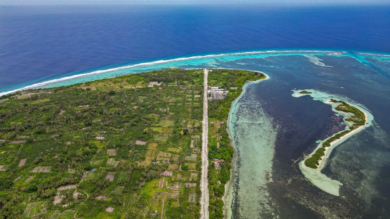 ކާށިދޫގެ ދަނޑުވެރިކަން: ބަގީޗާ ގަސްތަކުން އުފަންވި އާ އުންމީދު