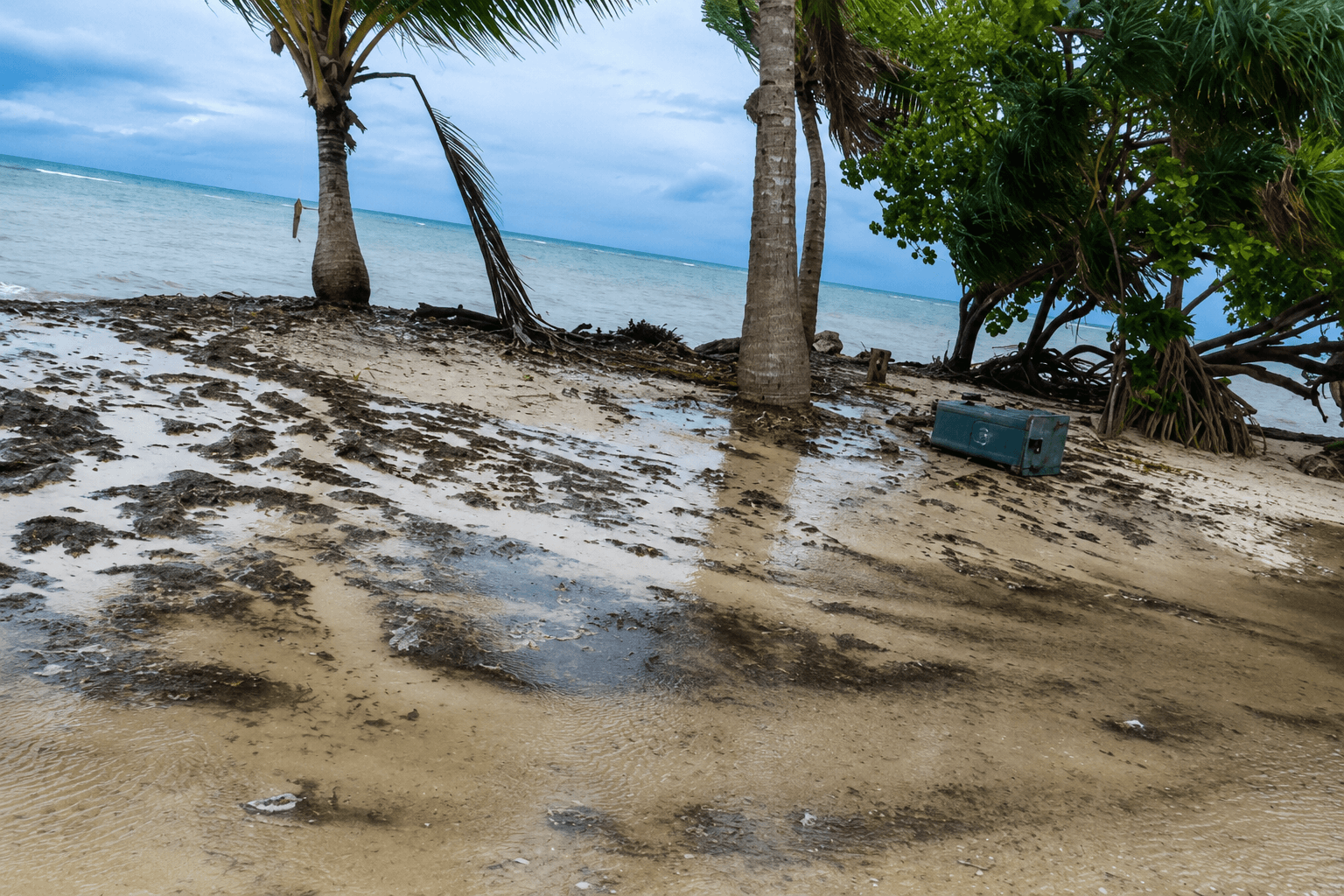 ކާށިދޫގެ ބައެއް ސަރަހައްދުތަކަށް އުދަ އަރަނީ