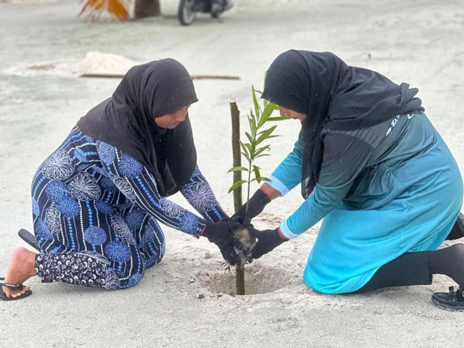 އޮޅުވެލިފުށިވެސް ފެހިކުރުމުގެ ބޮޑު ރޭހަށް!