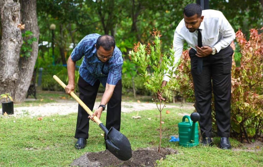 ރައީސްގެ 5 މިލިޔަން ގަސް އިންދުމުގެ ޕްރޮގްރާމް: މިހާތަނަށް އިންދި ގަހުގެ އަދަދު 2 މިލިއަނަށް ގާތްކުރޭ